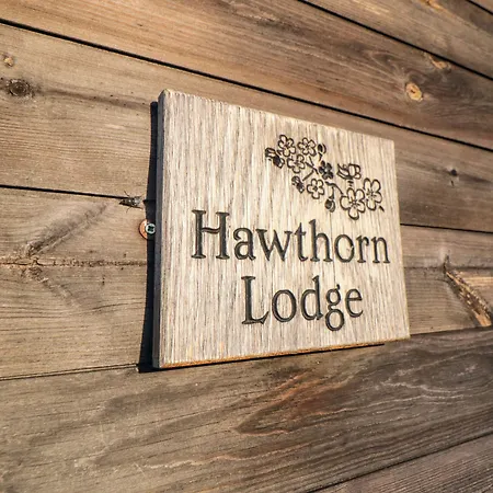 Hawthorne Holiday home Skinningrove