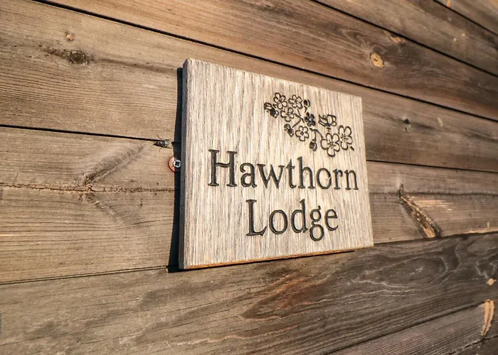 Hawthorne * Skinningrove